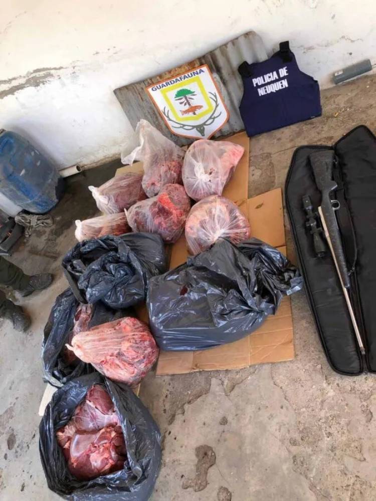 Demoran a cinco cazadores furtivos en campos de YPF, zona de Alicurá