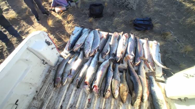 Guardafaunas detectaron actividad ilícita de pescadores en Piedra del Águila