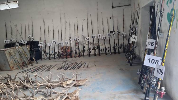 El remate de secuestros de Fauna dejó casi 7 millones de pesos