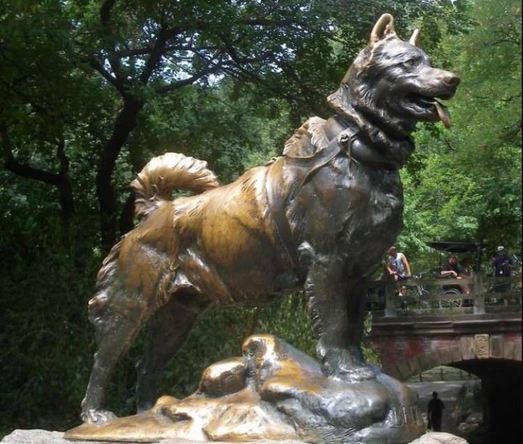La trágica historia de Chonino, el ovejero alemán héroe por el que se celebra el Día Nacional del Perro
