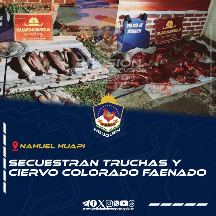 Secuestran Truchas y Ciervo Colorado faenado