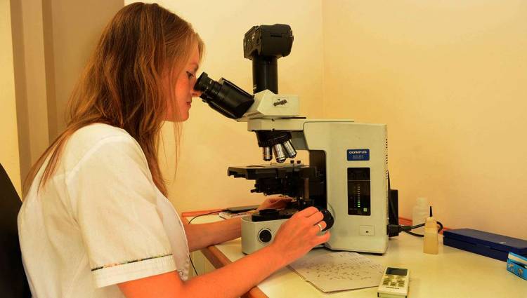 Ingresarán 56 nuevos especialistas al Sistema Público de Salud