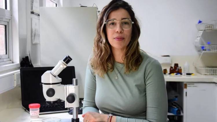 Ana Julia Pereira, la científica de Neuquén que resuelve crímenes a través de las moscas