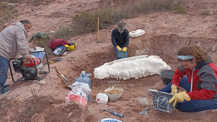 Un nuevo dinosaurio en la provincia del Neuquén 