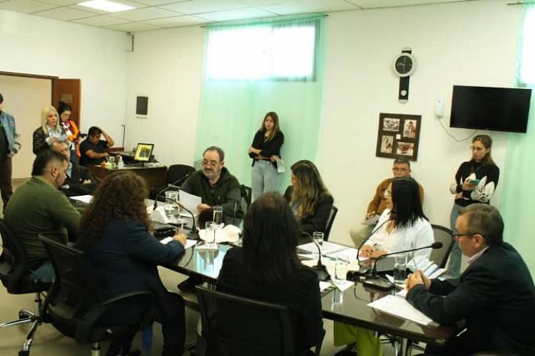 El Concejo Deliberante de la ciudad de Plaza Huincul aprobo las siguientes disposiciones: