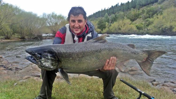 Chubut habilitó la temporada de pesca del salmón del pacífico