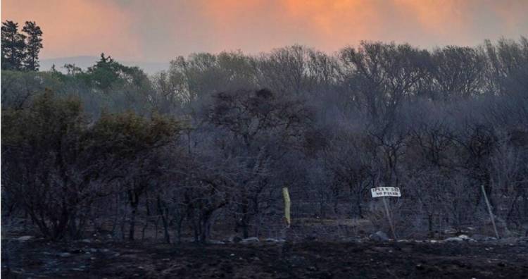 Incendios forestales: ya no quedan focos de fuego activos en Córdoba