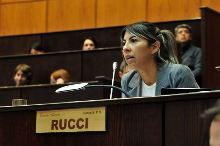 Quieren habilitar la participación de diputados y diputadas de manera virtual en las comisiones