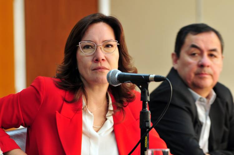 Consulta por evaluación del desempeño de jueces y magistrados