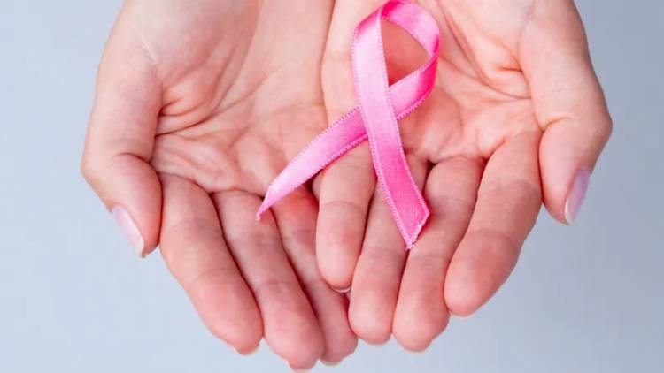 Investigadoras del Conicet avanzan en métodos para la detección temprana del cáncer de mama