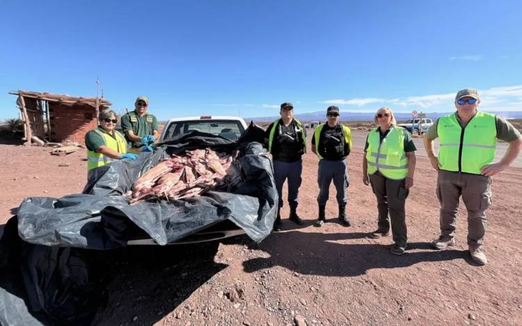 Se refuerzan los controles sanitarios en la zona de Vaca Muerta 