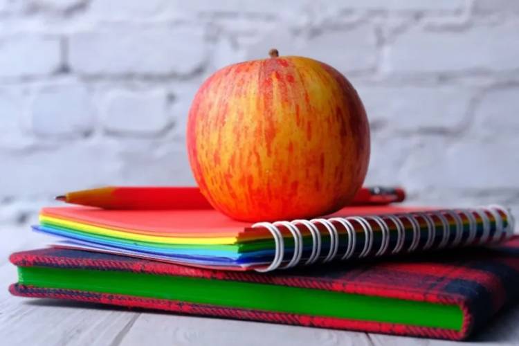 ¿Por qué una provincia argentina repartió 2,5 millones de manzanas a alumnos?