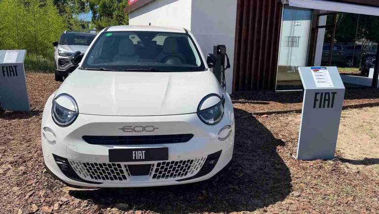 Histórico: volverá a venderse en Argentina el mítico Fiat 600 pero será un SUV con motor híbrido