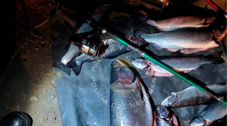 Secuestran Truchas y elementos de Pesca 