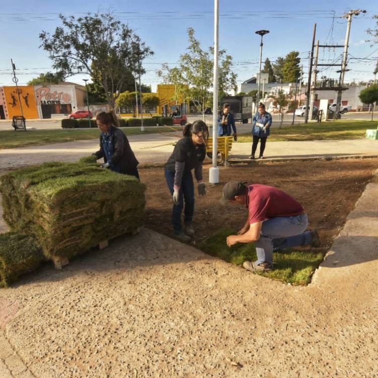El Parque Rivadulla se viste de verde 