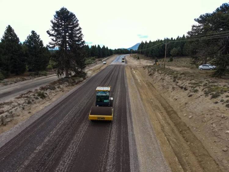 Registra 37 porciento de avance la pavimentación de la ruta entre Pino Hachado y Litrán