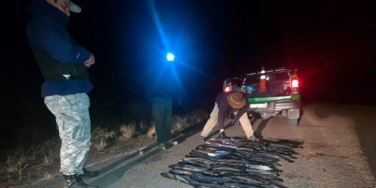 Secuestran 79 truchas y elementos de pesca en un operativo sobre la Ruta 237