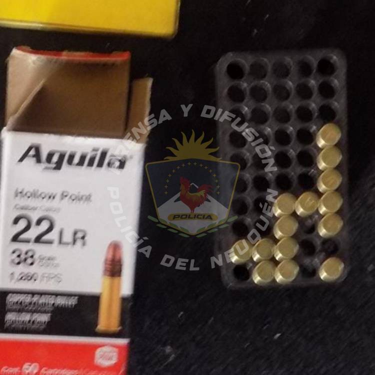 Intento de robo y hallazgo de arma de fuego en zona rural 