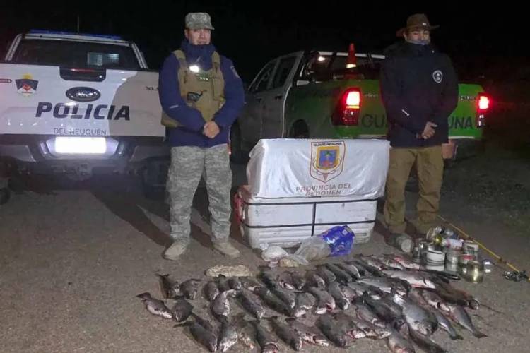 Personal Policial y de Guardafauna decomisaron 60 truchas que fueron pescadas ilegalmente