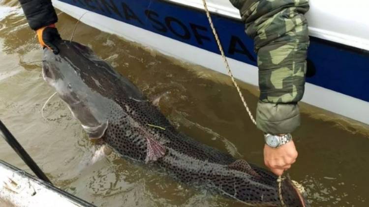 Anuncian un acuerdo histórico para la pesca deportiva en el litoral