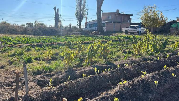 Escándalo en una ciudad de la Patagonia: tuvo sexo con una compañera de trabajo en la Municipalidad, lo descubrieron y lo echaron