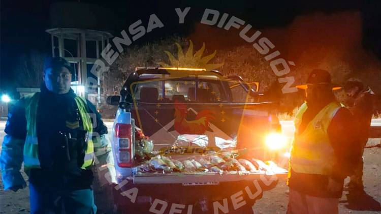 Operativo defecto especies protegidas y exceso de ruchas 