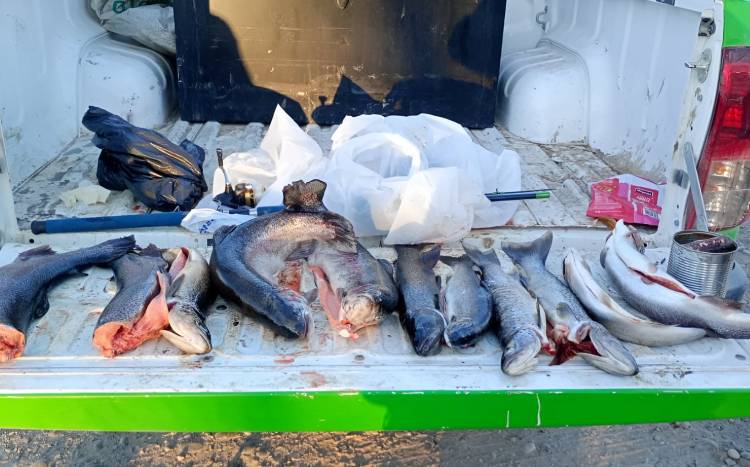 ¡Operativo Provincial de Guardafaunas: Seguridad y Cuidado de Nuestra Fauna Silvestre! 