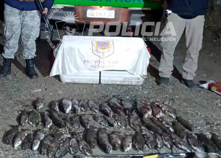 Operativo de prevención con secuestro de salmónidos