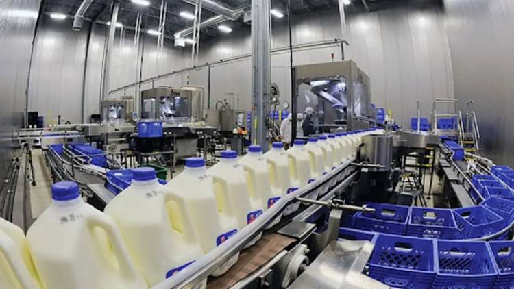 Cuál es la empresa extranjera que derrotó a La Serenísima como líder de la industria láctea