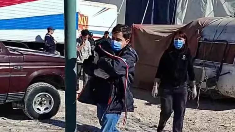 Más de 10 perros maltratados fueron rescatados de un circo: estaban encerrados, atados y vivían entre excrementos