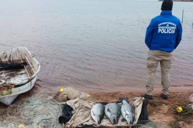 Demorados por pesca furtiva