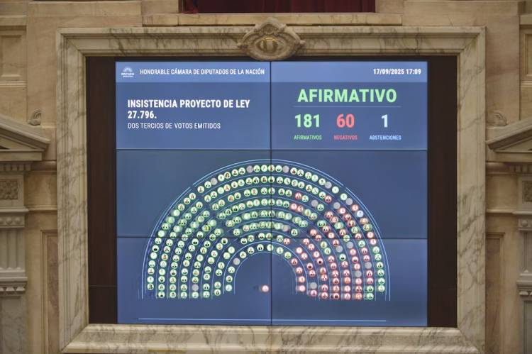Contundente rechazo a los vetos de Milei: Diputados ratificó el financiamiento del Garrahan y las universidades