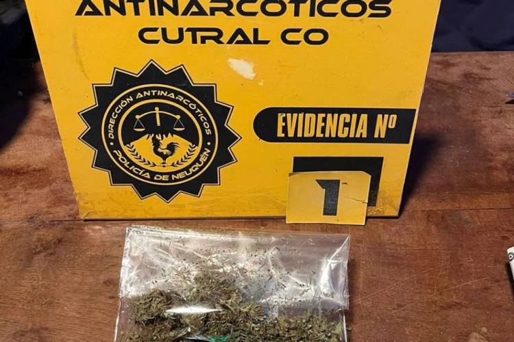 La Policía obtuvo resultados positivos en tres operativos antinarcóticos