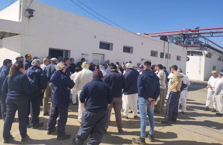 Cerró la fábrica que elaboraba yogures y postres para SanCor: unas 400 personas despedidas