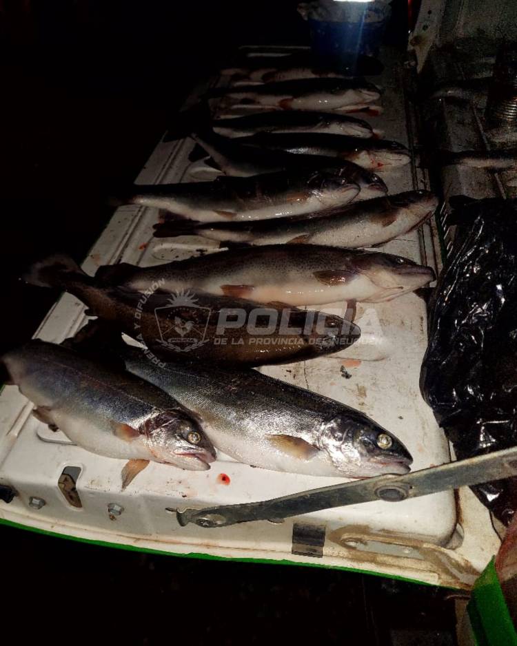 Operativo de control, secuestro de piezas ictícolas y equipos de pesca 