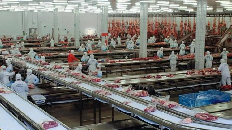 Crisis en los frigoríficos: el creador del Paty frena la faena y suspende a 450 empleados