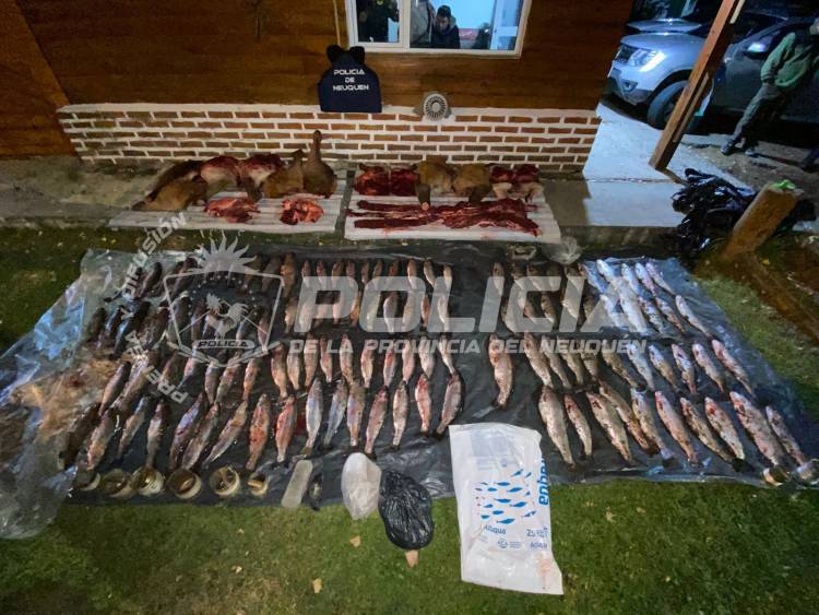 Secuestran vehículos y carne de fauna silvestre 