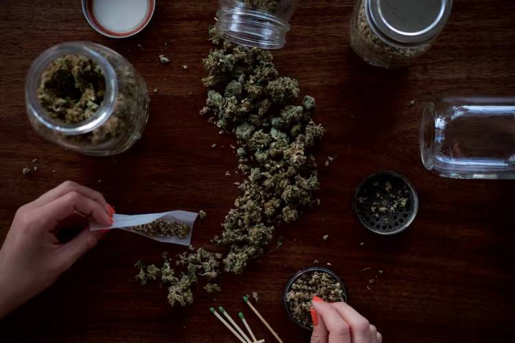 Preocupación por el consumo de marihuana en los jóvenes: