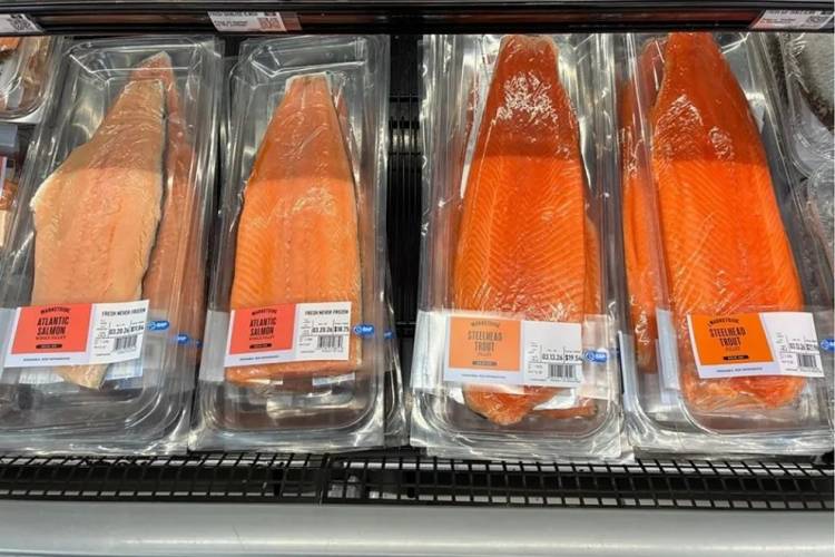 Neuquén lideró la producción y exportación nacional de truchas