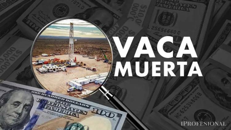 YPF prepara nuevos proyectos para el RIGI y llegará a más de u$s154.000 millones